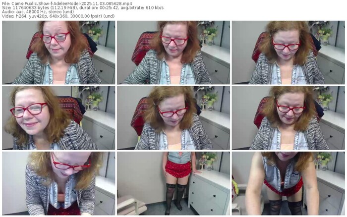 cams-adeleemodel-11-03-2025-08-56-28