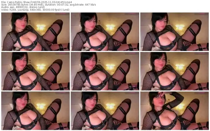 cams-hayfa-11-03-2025-04-14-53