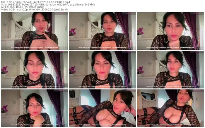 cams-hayfa-11-03-2025-13-58-00