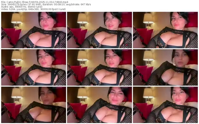 cams-hayfa-11-03-2025-17-48-40