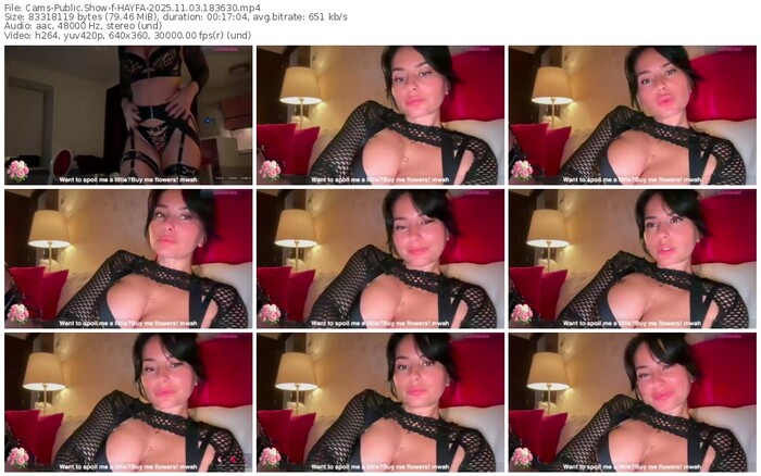 cams-hayfa-11-03-2025-18-36-30