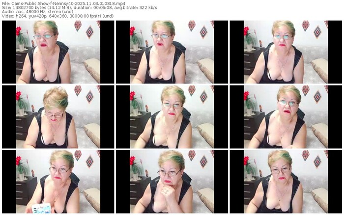 cams-nennsy40-11-03-2025-01-08-18