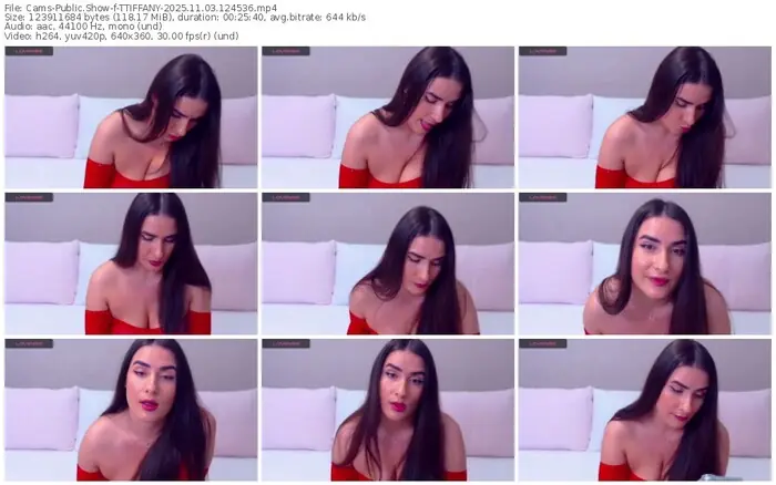 cams-ttiffany-11-03-2025-12-45-36