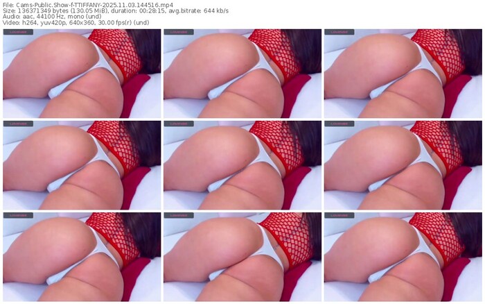 cams-ttiffany-11-03-2025-14-45-16