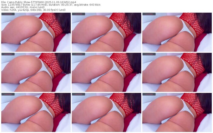 cams-ttiffany-11-03-2025-16-34-52