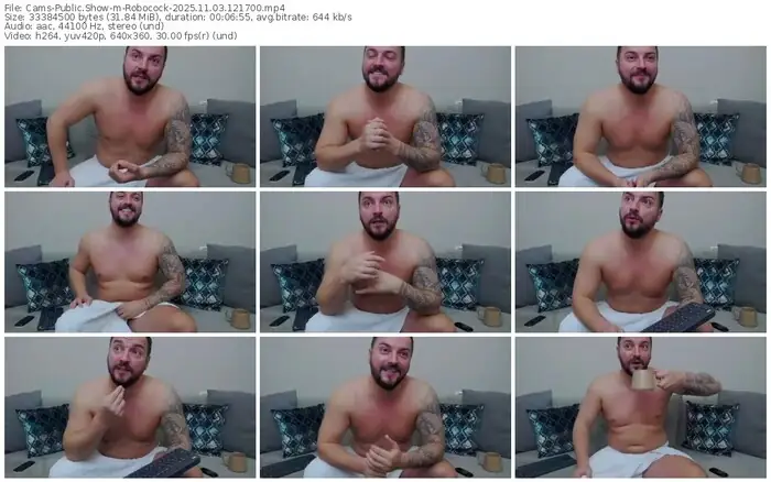 cams-robocock-11-03-2025-12-17-00