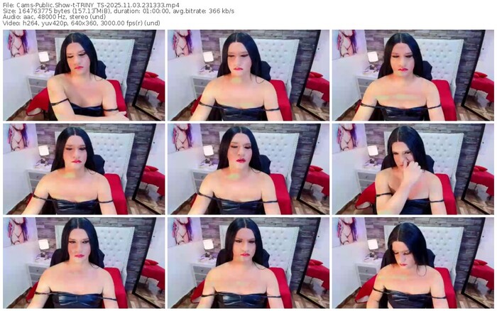 cams-triny_ts-11-03-2025-23-13-33