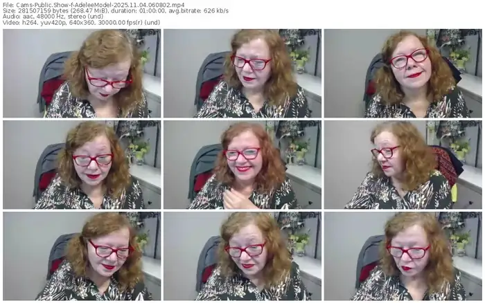 cams-adeleemodel-11-04-2025-06-08-02