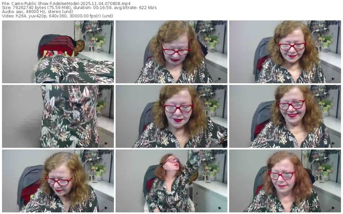 cams-adeleemodel-11-04-2025-07-08-08