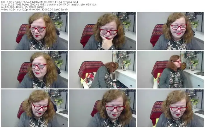 cams-adeleemodel-11-04-2025-07-56-24