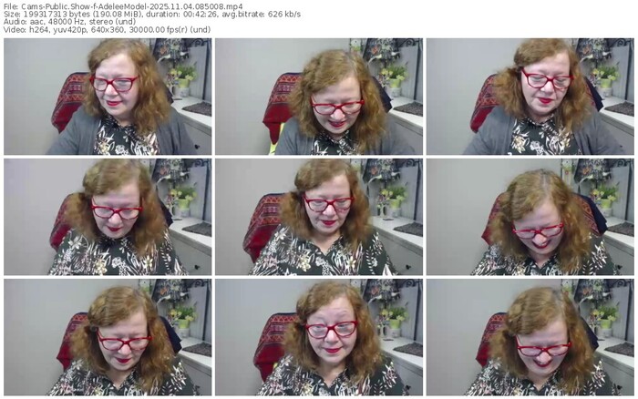 cams-adeleemodel-11-04-2025-08-50-08