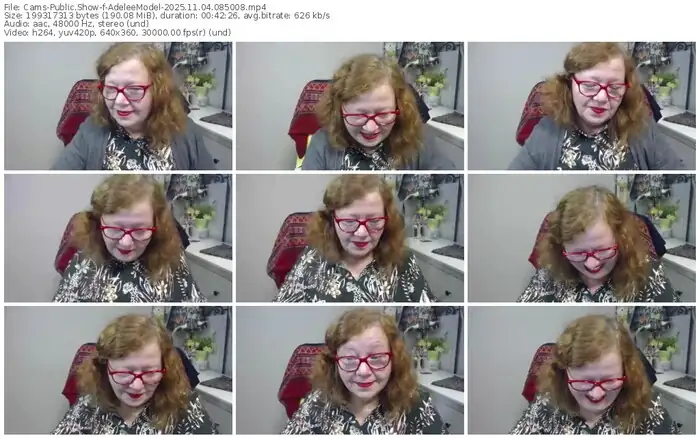 cams-adeleemodel-11-04-2025-08-50-08