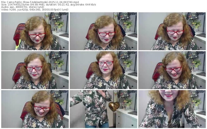 cams-adeleemodel-11-04-2025-09-37-40