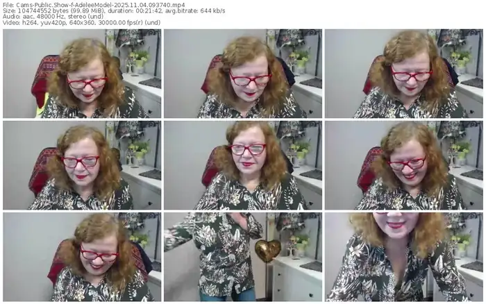 cams-adeleemodel-11-04-2025-09-37-40