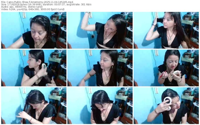 cams-aniehorny-11-04-2025-14-52-45