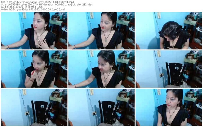 cams-aniehorny-11-04-2025-15-00-34