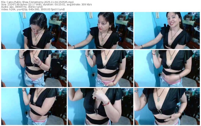 cams-aniehorny-11-04-2025-15-05-35