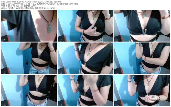 cams-aniehorny-11-04-2025-15-15-50