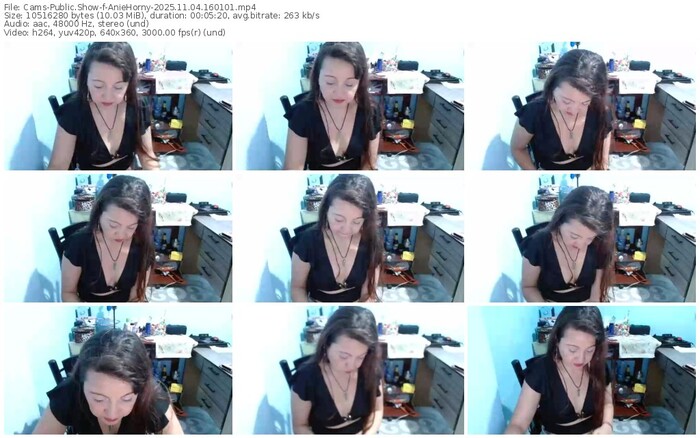 cams-aniehorny-11-04-2025-16-01-01