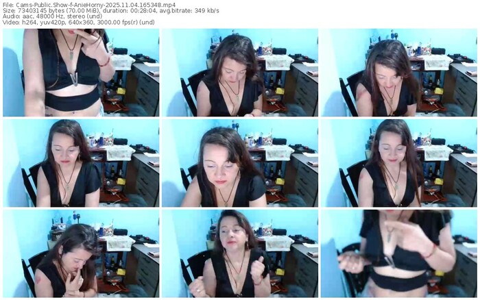 cams-aniehorny-11-04-2025-16-53-48