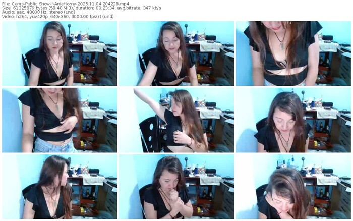 cams-aniehorny-11-04-2025-20-42-28