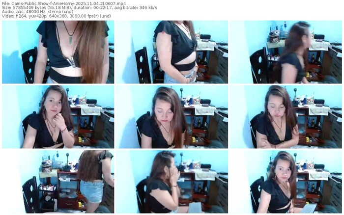 cams-aniehorny-11-04-2025-21-06-07