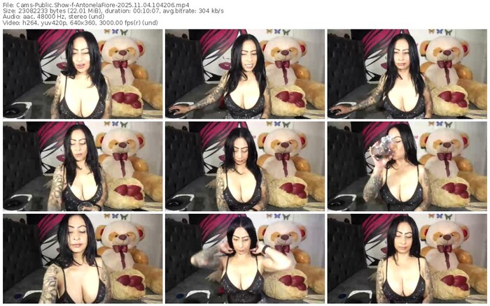 cams-antonelafiore-11-04-2025-10-42-06