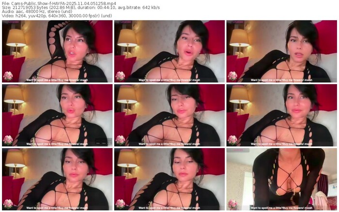 cams-hayfa-11-04-2025-05-12-58