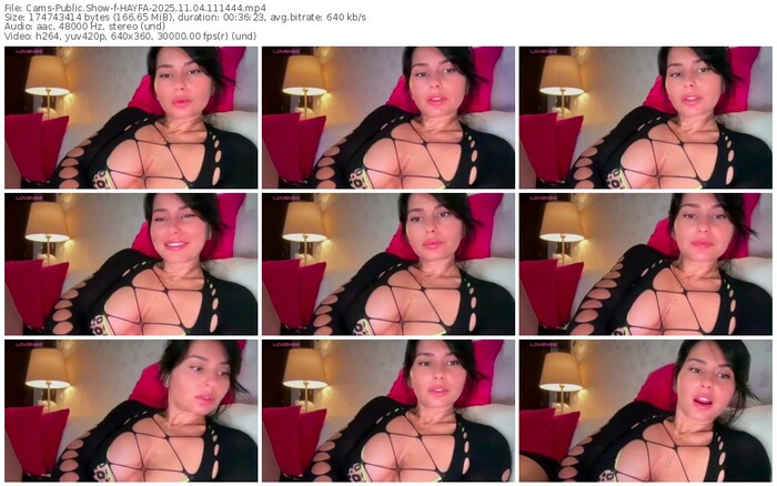 cams-hayfa-11-04-2025-11-14-44