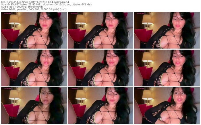 cams-hayfa-11-04-2025-14-12-24