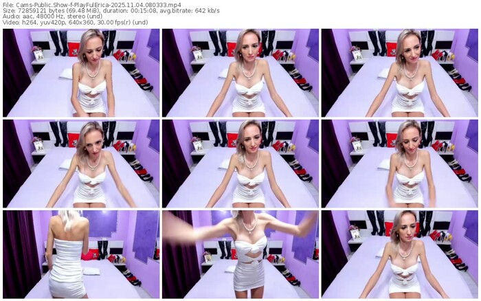 cams-playfulerica-11-04-2025-08-03-33