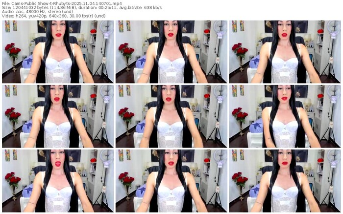 cams-rhubyts-11-04-2025-14-07-01