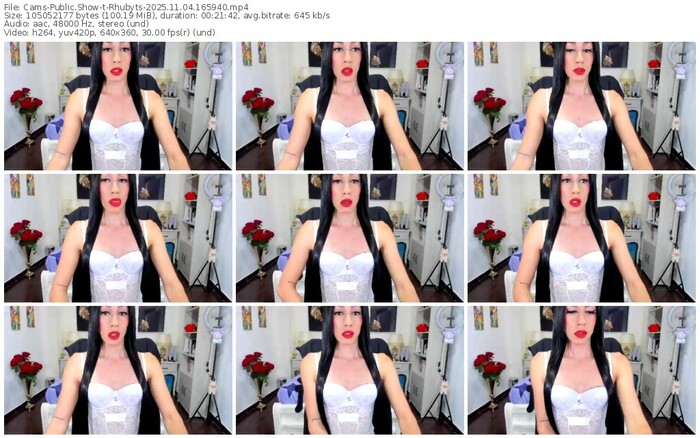 cams-rhubyts-11-04-2025-16-59-40