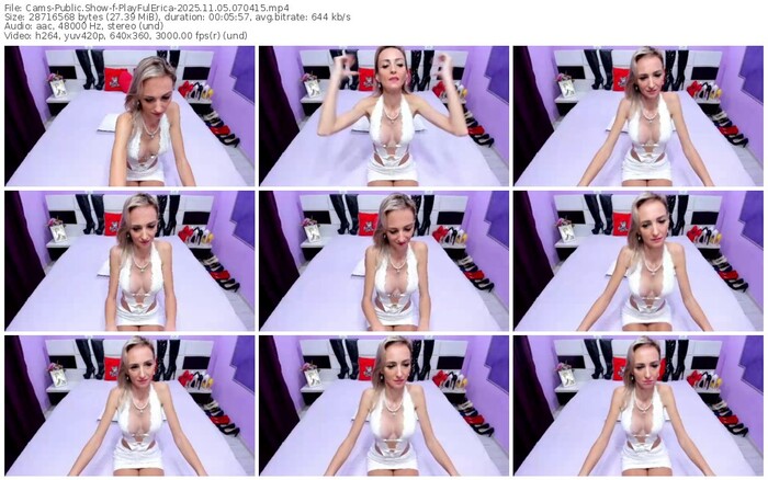 cams-playfulerica-11-05-2025-07-04-15