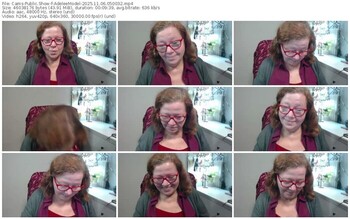 cams-adeleemodel-11-06-2025-05-00-32