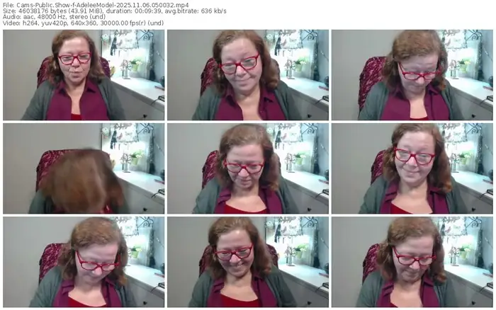 cams-adeleemodel-11-06-2025-05-00-32