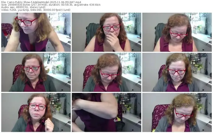 cams-adeleemodel-11-06-2025-05-18-47