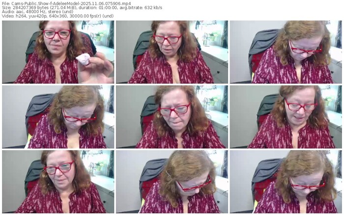 cams-adeleemodel-11-06-2025-07-59-06