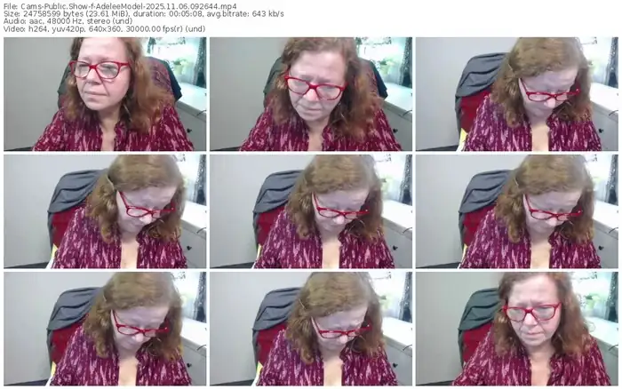 cams-adeleemodel-11-06-2025-09-26-44