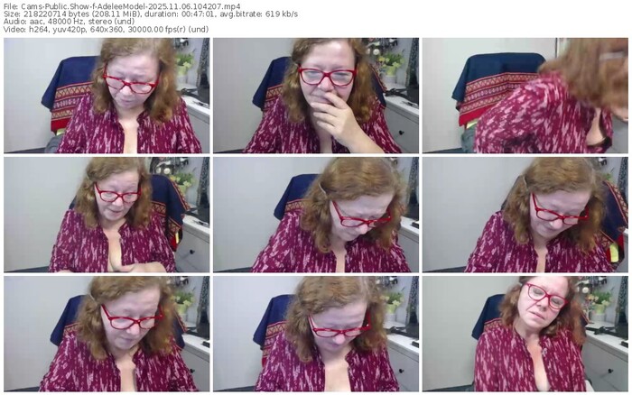 cams-adeleemodel-11-06-2025-10-42-07