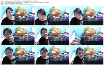 cams-aniehorny-11-06-2025-21-12-52