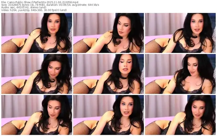 cams-perfectits-11-06-2025-21-00-58