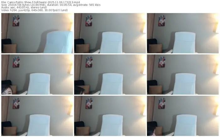 cams-sofisaenz-11-06-2025-17-32-13