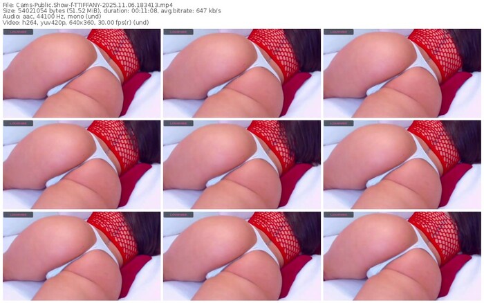 cams-ttiffany-11-06-2025-18-34-13