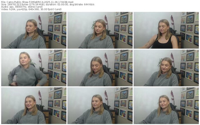 cams-littleerica-11-06-2025-17-44-38