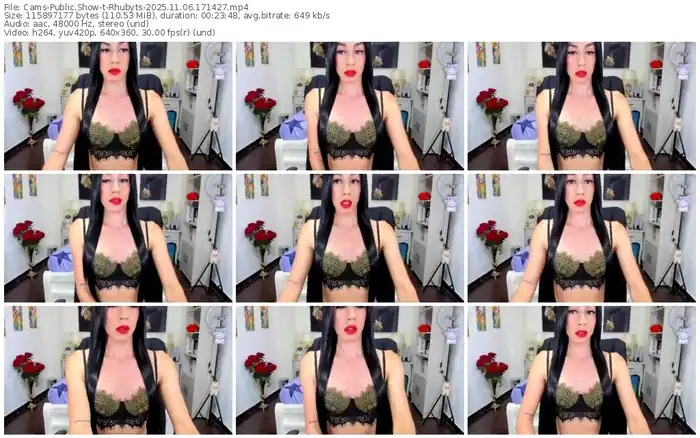 cams-rhubyts-11-06-2025-17-14-27