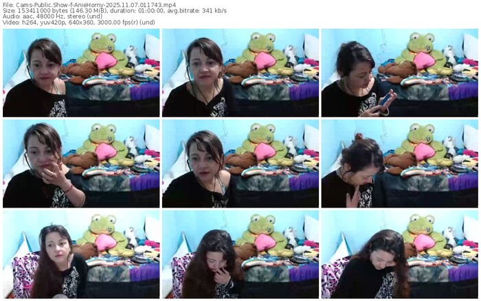 cams-aniehorny-11-07-2025-01-17-43