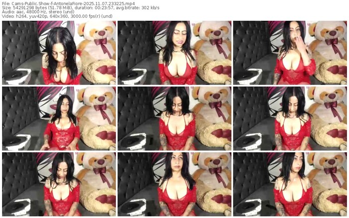 cams-antonelafiore-11-07-2025-23-32-25