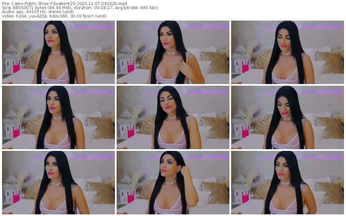 cams-evakent25-11-07-2025-04-20-20