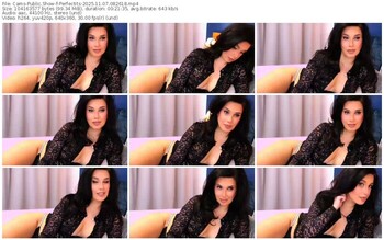 cams-perfectits-11-07-2025-08-26-18